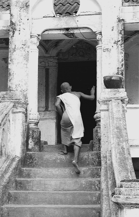 buddhist monk vietnam 2001